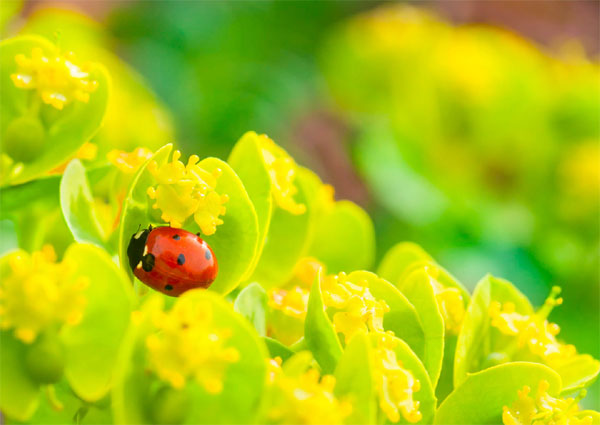 Huynh đệ tứ phương: Ai sinh tháng Âm lịch này biết tri ân, báo đáp, quan hệ rộng, thành công lớn-2