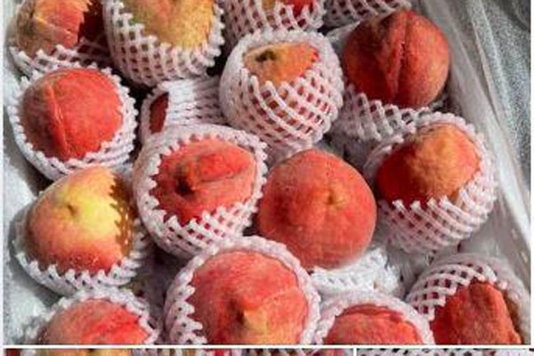 Nho Trung Quốc đổ bộ chợ Việt với giá rẻ hơn rau, chỉ từ 25.000 đồng/kg-5