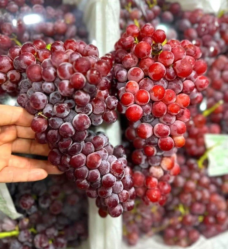 Nho Trung Quốc đổ bộ chợ Việt với giá rẻ hơn rau, chỉ từ 25.000 đồng/kg-1