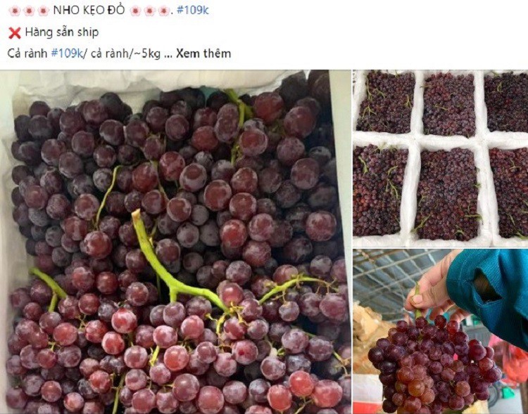 Nho Trung Quốc đổ bộ chợ Việt với giá rẻ hơn rau, chỉ từ 25.000 đồng/kg-2