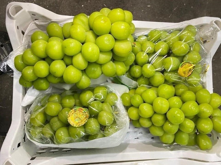 Nho Trung Quốc đổ bộ chợ Việt với giá rẻ hơn rau, chỉ từ 25.000 đồng/kg-3