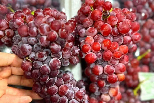Nho mẫu đơn Trung Quốc ồ ạt về chợ-3