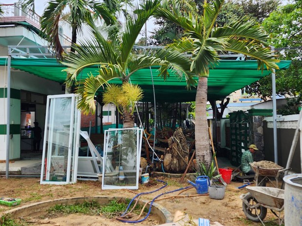 Phụ huynh té ngửa khi Trường quốc tế Chồi Xanh Hội An bất ngờ đóng cửa-1