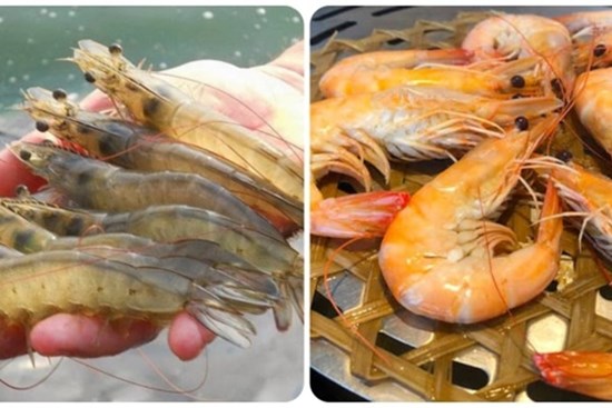 4 lưu ý cần biết khi ăn tôm để tránh rước 'cả ổ vi khuẩn' vào người