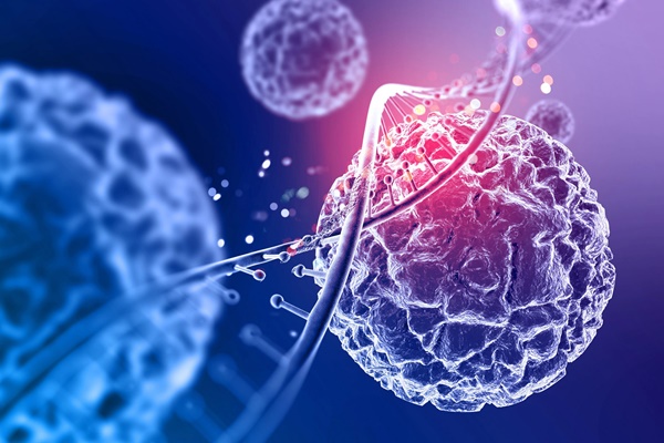 Tế bào ung thư sợ nhất điều này nếu làm mỗi ngày – Kiên trì thực hiện đẩy lùi khối u, kéo dài tuổi thọ-2