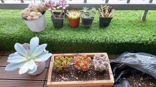 Lên tiếng làm rõ mối quan hệ sau tin đồn tình tay ba, Việt Anh và Quỳnh Nga hiện sống trong căn nhà thế nào?-11