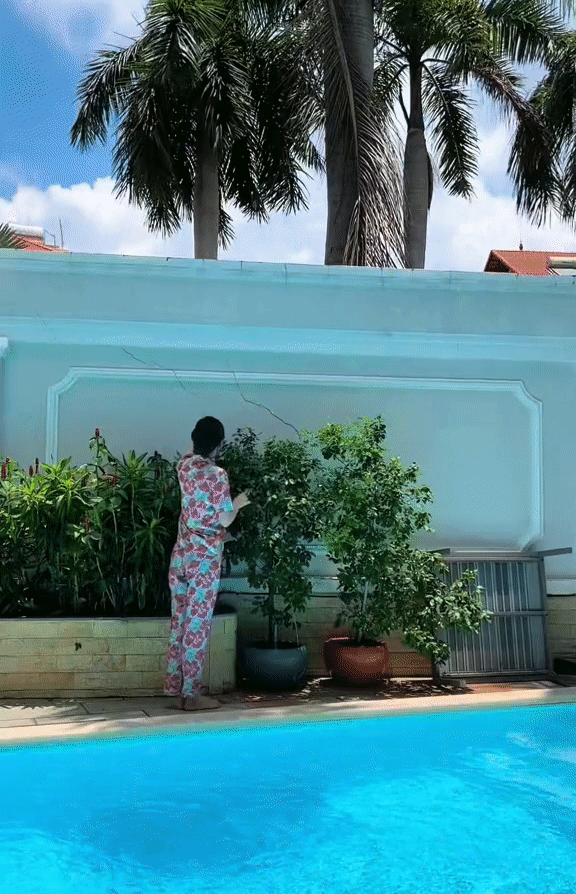 Bên trong biệt thự khu nhà giàu quận 2 của Hoa hậu Phương Khánh: Vườn cây xanh um, cứ ngồi vào là có ảnh đẹp-3