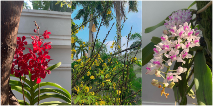 Bên trong biệt thự khu nhà giàu quận 2 của Hoa hậu Phương Khánh: Vườn cây xanh um, cứ ngồi vào là có ảnh đẹp-5