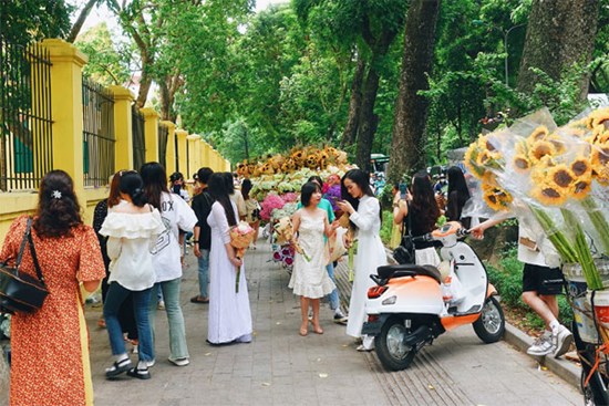 Khung cảnh 