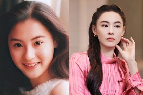 Trương Bá Chi, Lê Tư: Hai đại mỹ nhân đều tin tưởng loại hạt này để dưỡng tóc bóng mượt