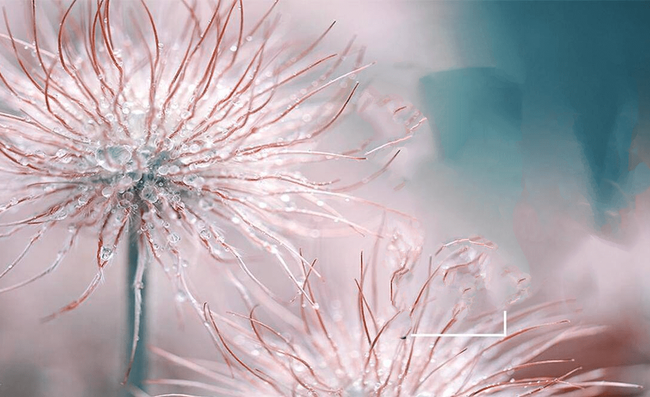 Gợi ý 3 món ăn giúp dưỡng ẩm phổi, chống lại khô hanh-1