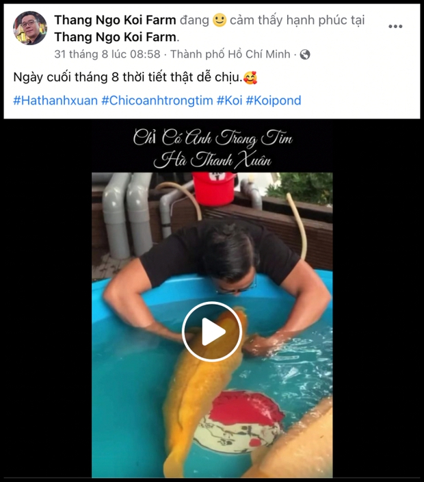 Vua cá Koi” Thắng Ngô 5 lần 7 lượt phủ nhận chia tay Hà Thanh Xuân sau đám cưới xa xỉ như thế nào?-4