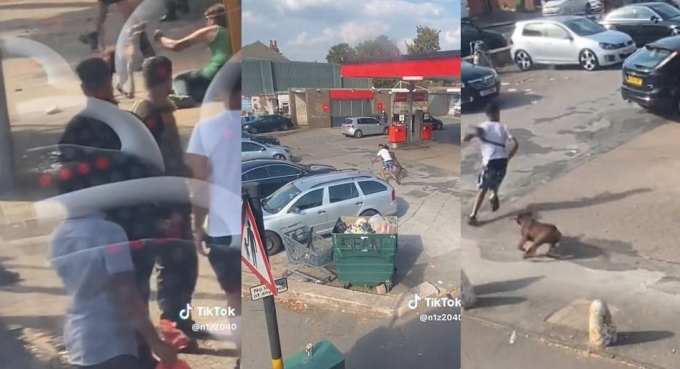 Cảnh tượng ám ảnh bé gái 11 tuổi bị chó tấn công điên cuồng-3