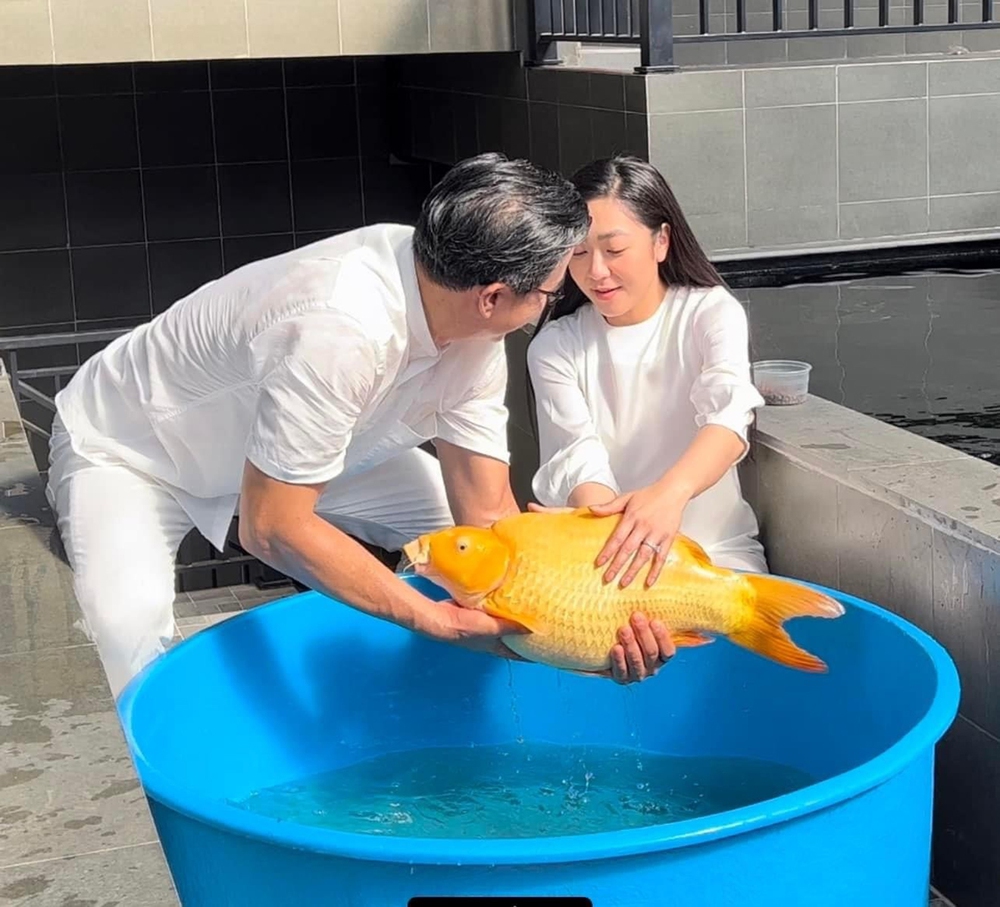 Hôn nhân rình rang kết thúc chỉ sau hơn 1 năm chung sống, Hà Thanh Xuân và Vua cá Koi hiện sở hữu những cơ ngơi thế nào?-2