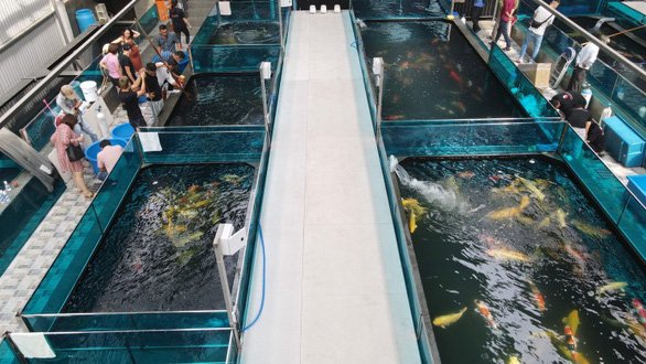 Hôn nhân rình rang kết thúc chỉ sau hơn 1 năm chung sống, Hà Thanh Xuân và Vua cá Koi hiện sở hữu những cơ ngơi thế nào?-11