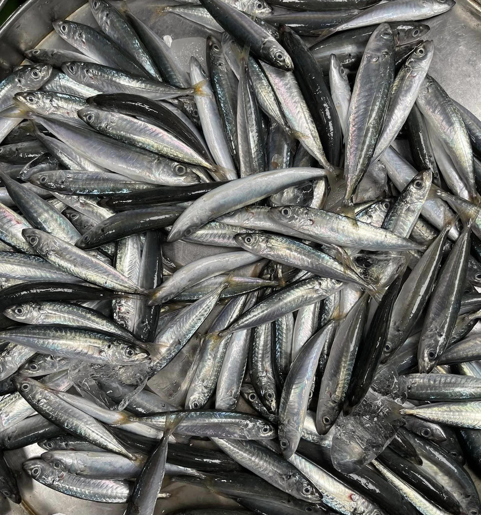 Nhớ thương canh cá nục lá me non-2