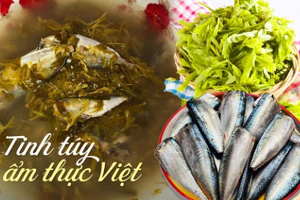 Hóa ra đây mới là vua miễn dịch, một miếng có tới 17 loại axit amin: Bổ can thận tinh, tăng cường miễn dịch, người huyết áp cao cũng ăn được-3