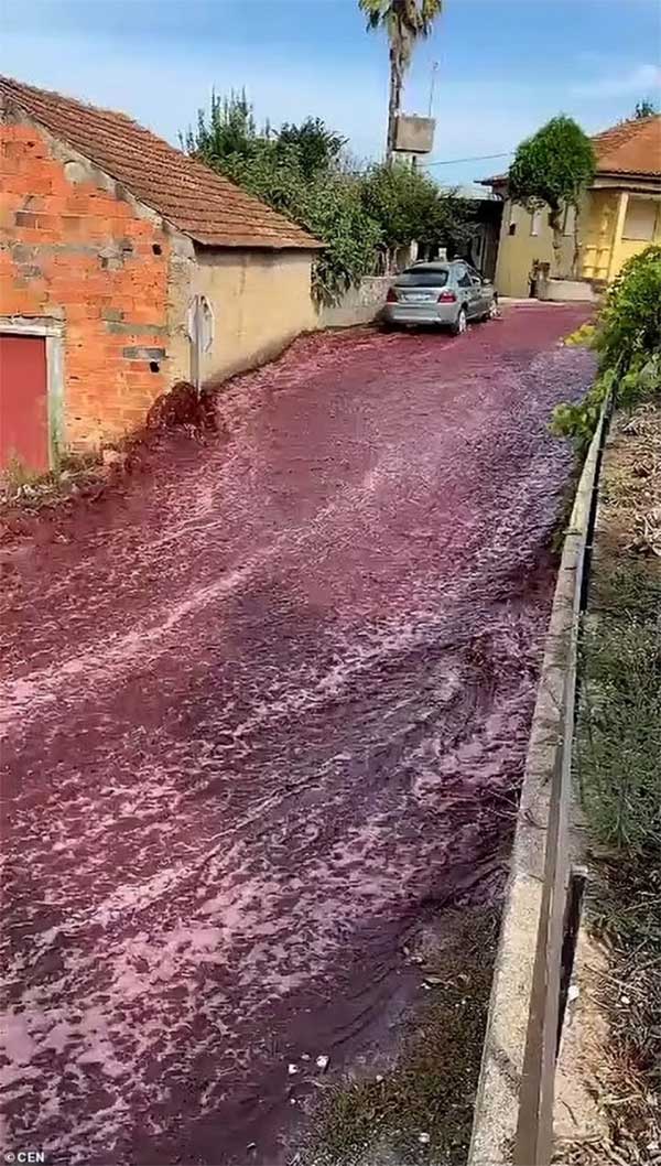 Nhà máy rượu vỡ thùng chứa, con đường ở thị trấn thành dòng sông vang đỏ-1