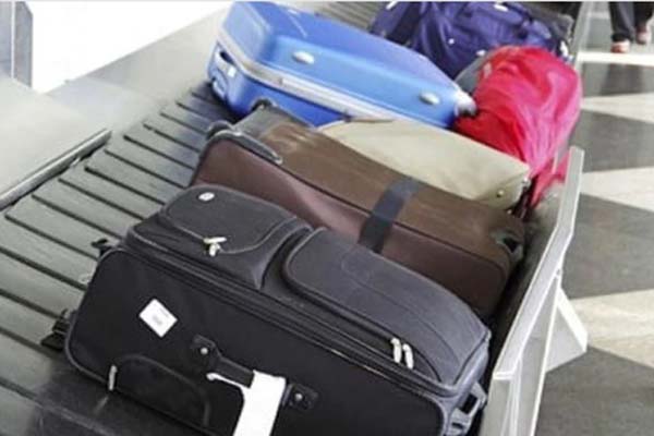 Người dân đổ xô xem cây si có hình giống mặt người, chính quyền lên tiếng-7