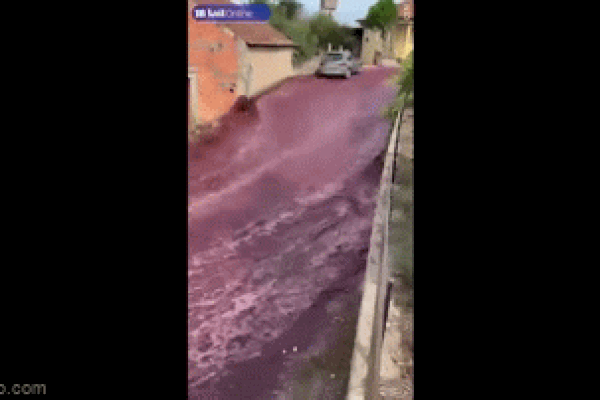 Clip: Dòng sông rượu vang đỏ chạy qua khu dân cư gây kinh ngạc