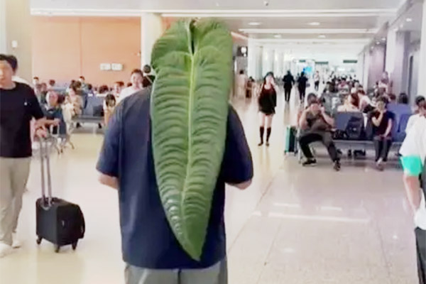 Gã đồ tể bị xử tử vì tội giết người, vài năm sau nạn nhân sống dậy hé lộ chân tướng án oan-5