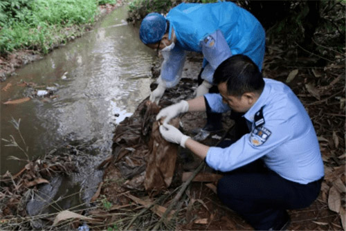 Gã đồ tể bị xử tử vì tội giết người, vài năm sau nạn nhân sống dậy hé lộ chân tướng án oan-1