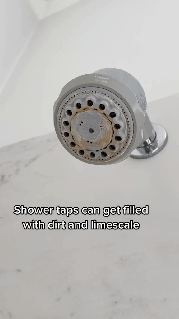 Đây là thứ ngày nào cũng dùng trong nhà vệ sinh nhưng 99% các gia đình quên làm sạch: Xem video mà choáng-1