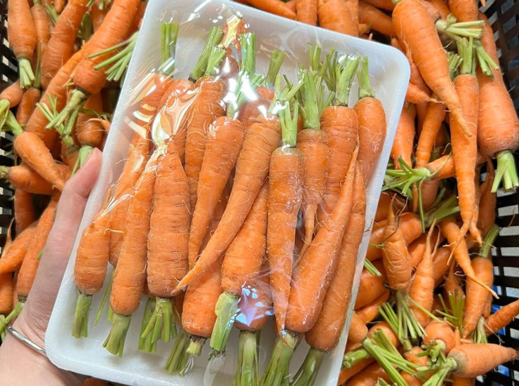Cà rốt tí hon có gì đặc biệt mà giá bán gấp 3 lần loại thường vẫn đắt hàng?-2