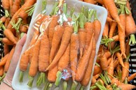 Cà rốt tí hon có gì đặc biệt mà giá bán gấp 3 lần loại thường vẫn đắt hàng?