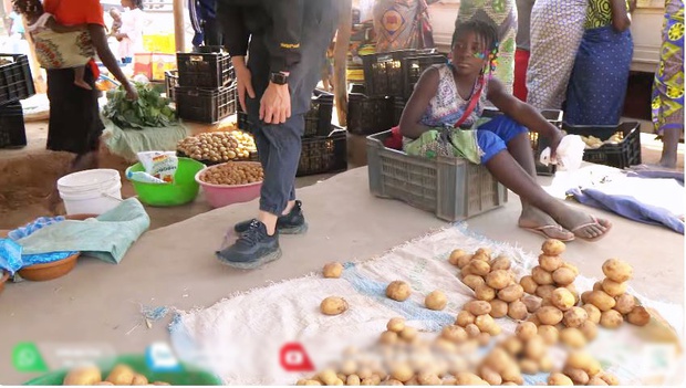 Quang Linh farm bội thu khoai tây trái mùa, thương lái tranh nhau mua nhưng số tiền thu về cả vụ mới choáng-7