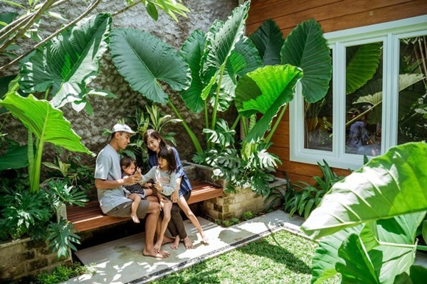 Mê mẩn với cây cảnh có lá như miếng phô mai xanh khổng lồ, trồng trong nhà vượng vận, cầu an-18