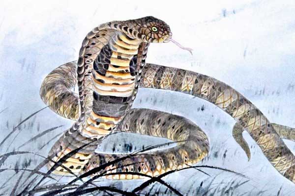 Cuối tháng 9, 4 con giáp được lộc trời ban, Thần Tài ưu ái-1