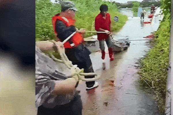 Clip: Kinh hoàng cá sấu khổng lồ bơi về phía trẻ em đang tắm trong hồ-1