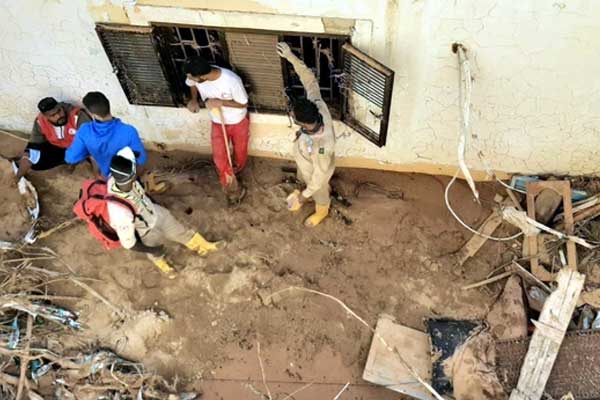 Clip: Người đàn ông trèo lên cây để tránh lũ lụt-1