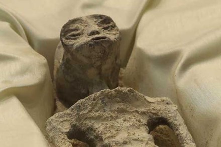 Mexico: Trưng bày 2 thi hài hoá thạch nghi người ngoài hành tinh, chuyên gia khẳng định 