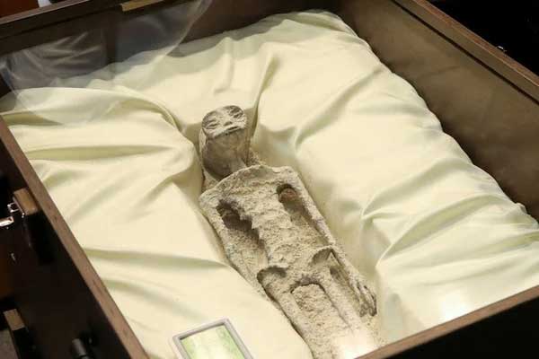 Mexico: Trưng bày 2 thi hài hoá thạch nghi người ngoài hành tinh, chuyên gia khẳng định DNA không tương thích với người Trái đất-2