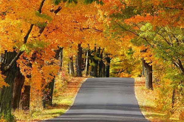 Đúng mùng 1 tháng 8 Âm lịch, 4 con giáp này có vận đỏ như son, tài lộc gõ cửa, tiền về đếm mỏi tay-5