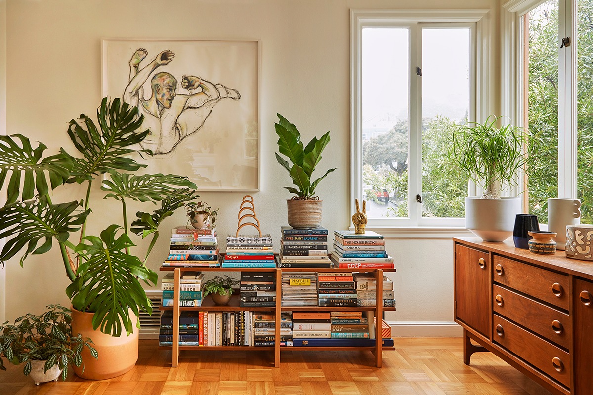 Mê mẩn với cây cảnh có lá như miếng phô mai xanh khổng lồ, trồng trong nhà vượng vận, cầu an-17