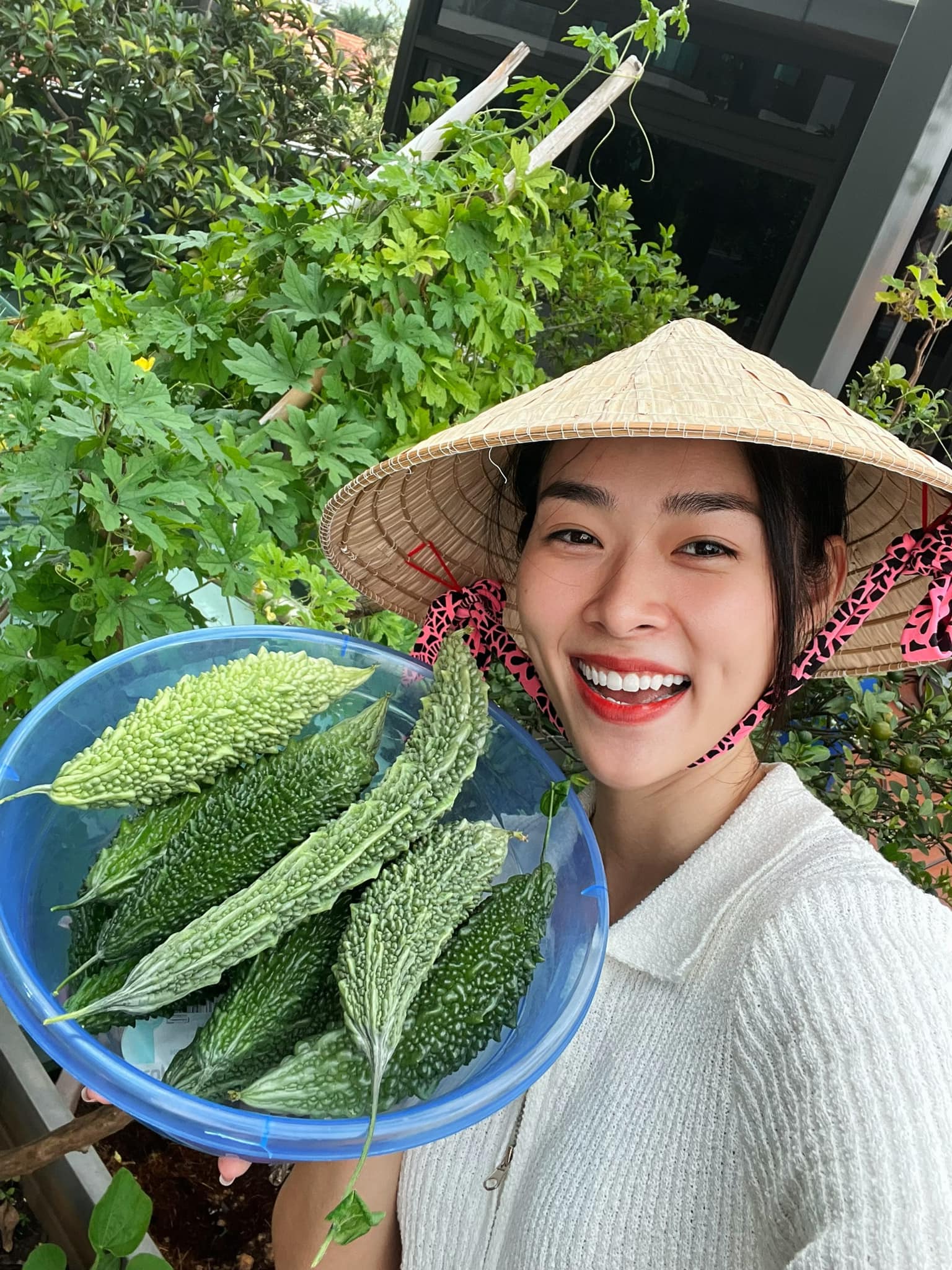 Cận cảnh khu vườn sân thượng trong nhà phố của Diệp Bảo Ngọc: Tự mình bắt sâu hái quả, không cần đi chợ mỗi ngày-10