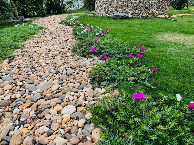 Phản diện đang hot: Lên phim báo nhà, ngoài đời tặng bố mẹ cơ ngơi rộng 900m2, vườn đẹp như công viên-7