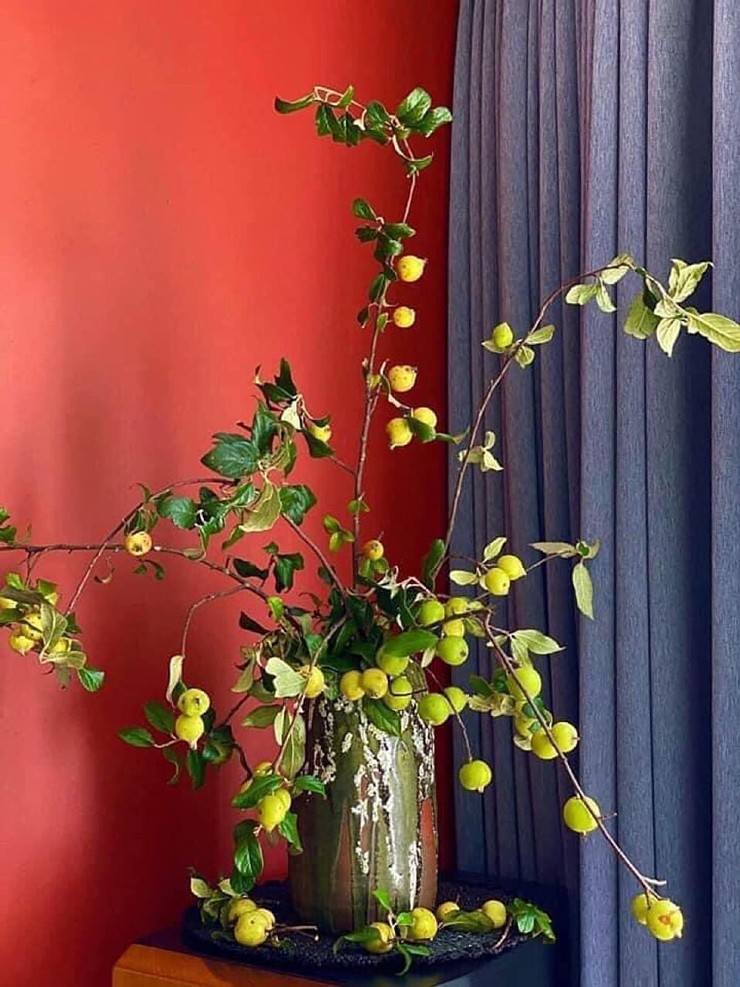 Loại cành quả cứ xuất hiện là hot”, nay được rao bán giá rẻ bất ngờ-2