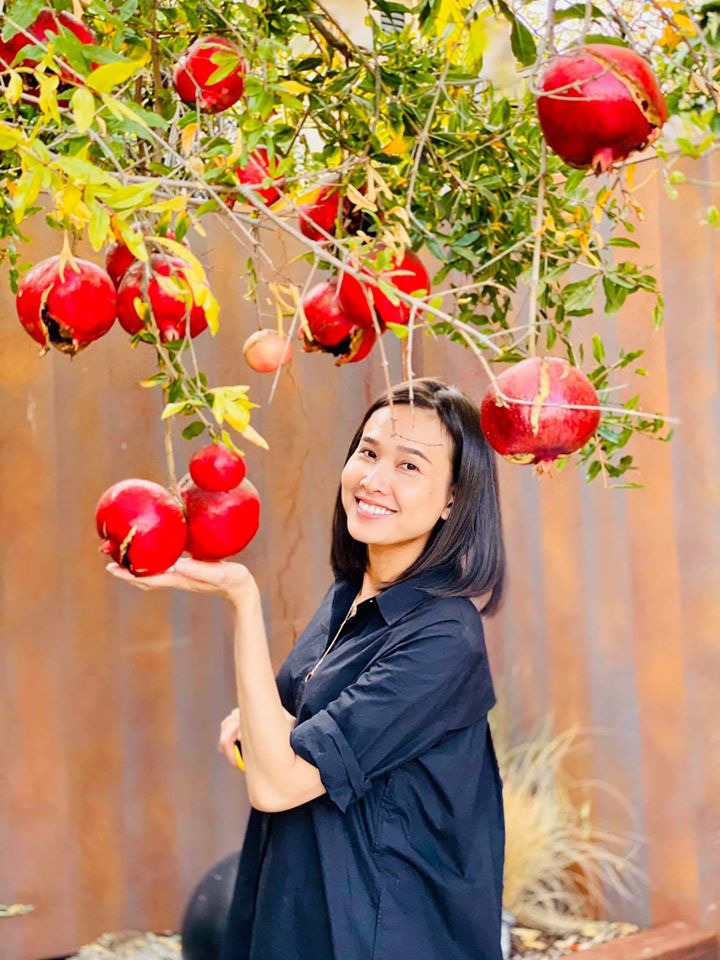 Đã mắt với vườn trái cây trong biệt thự của Hoa hậu Dương Mỹ Linh, có 1 góc đặc biệt ai xa quê cũng thích-9