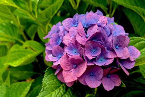 Mây mù chuyển nắng đẹp: 3 con giáp không còn thiếu tiền, cuộc sống sung túc trong tháng 9-4