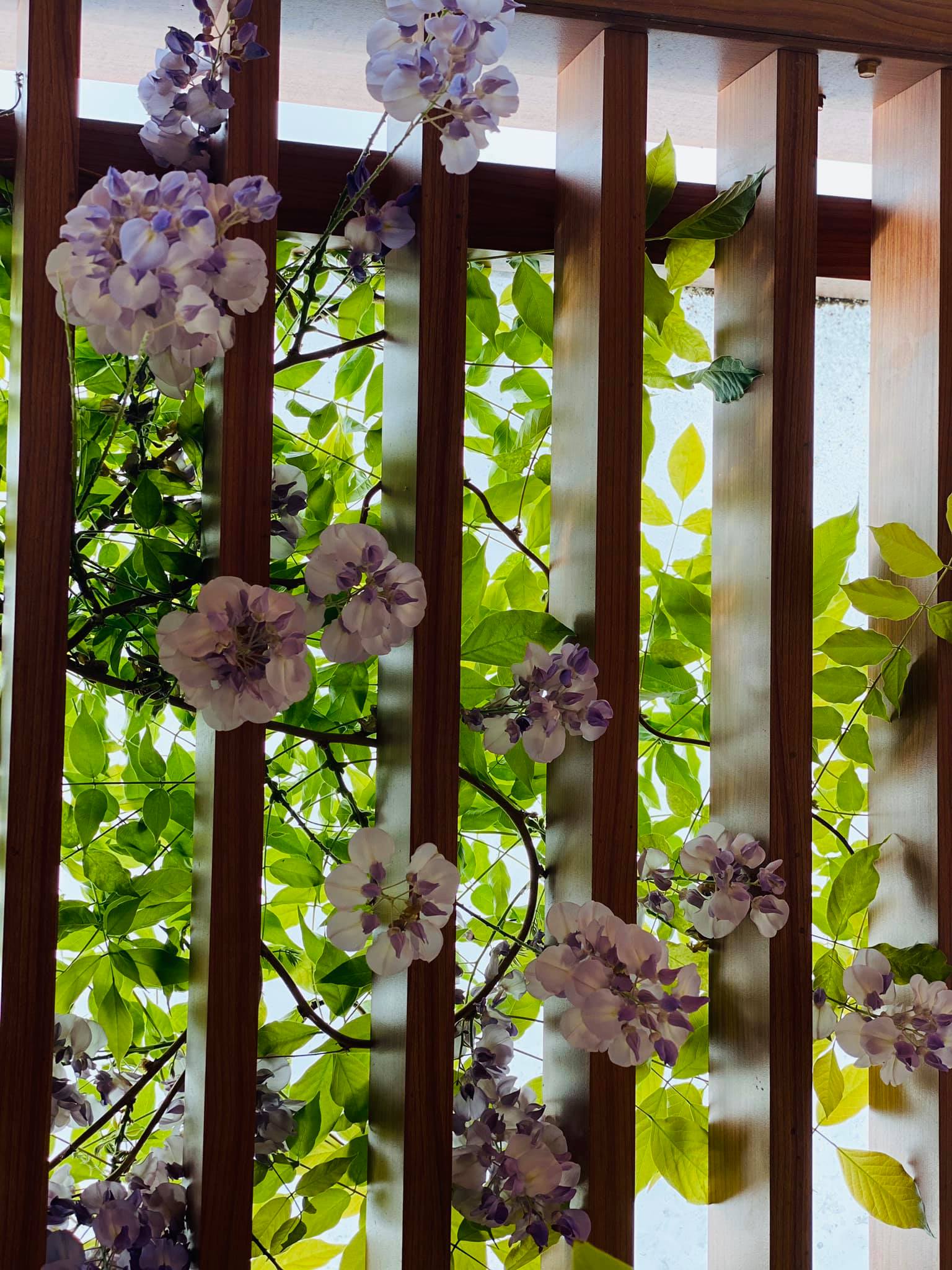 Đã mắt với vườn trái cây trong biệt thự của Hoa hậu Dương Mỹ Linh, có 1 góc đặc biệt ai xa quê cũng thích-17