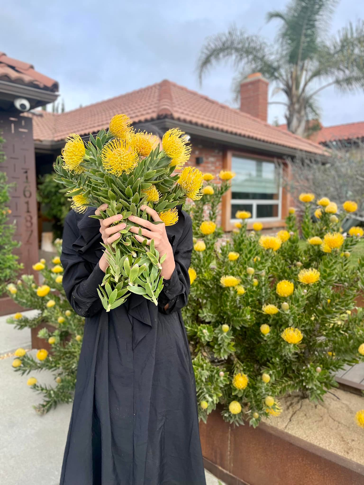 Đã mắt với vườn trái cây trong biệt thự của Hoa hậu Dương Mỹ Linh, có 1 góc đặc biệt ai xa quê cũng thích-21