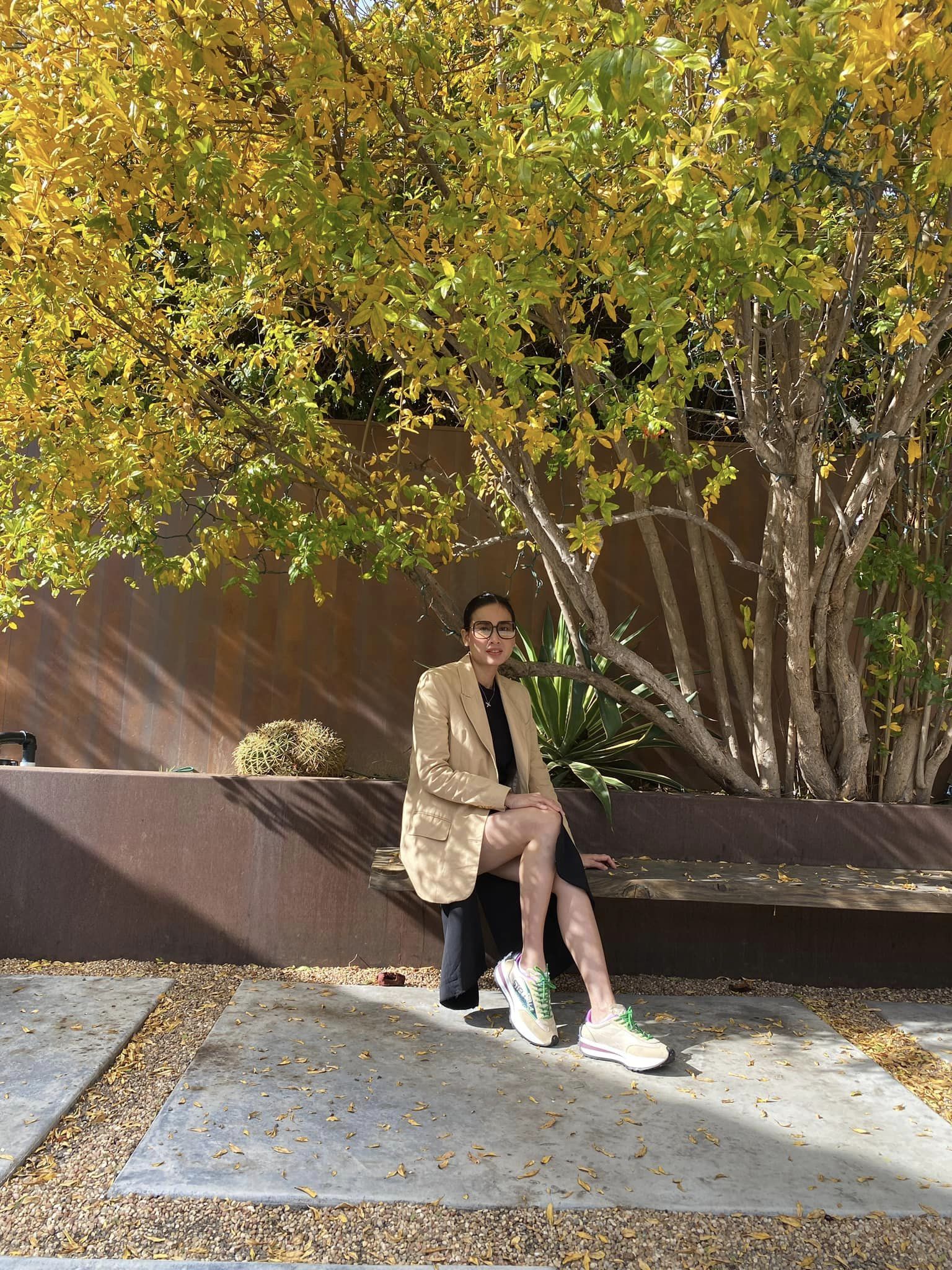 Đã mắt với vườn trái cây trong biệt thự của Hoa hậu Dương Mỹ Linh, có 1 góc đặc biệt ai xa quê cũng thích-22