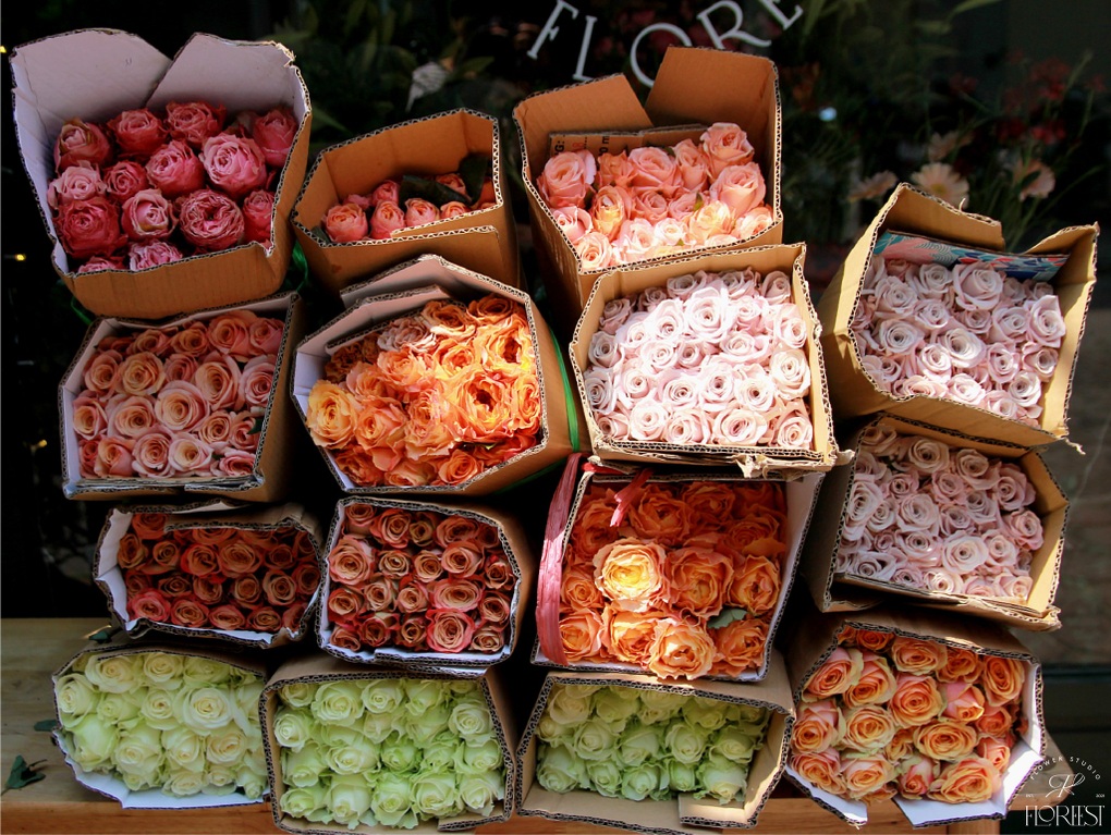 Phía sau thú chơi hoa nhà giàu: Hoa đi máy bay, 3-6 triệu đồng/10 bông-3