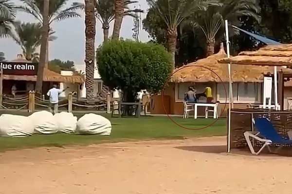 Nữ du khách gặp họa mất một cánh tay vì nhầm lẫn đáng tiếc khi đi bơi ở biển-1