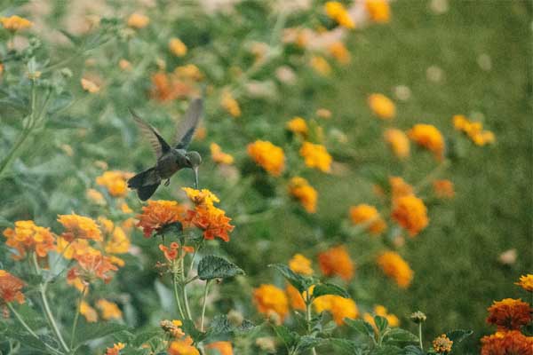 Mây mù chuyển nắng đẹp: 3 con giáp không còn thiếu tiền, cuộc sống sung túc trong tháng 9-1