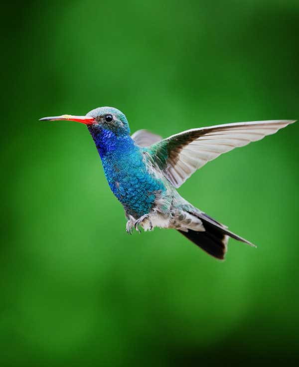 Mây mù chuyển nắng đẹp: 3 con giáp không còn thiếu tiền, cuộc sống sung túc trong tháng 9-2